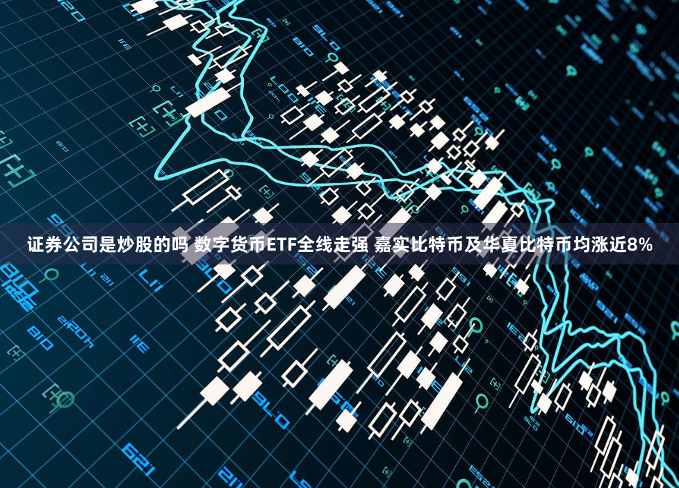 证券公司是炒股的吗 数字货币ETF全线走强 嘉实比特币及华夏比特币均涨近8%