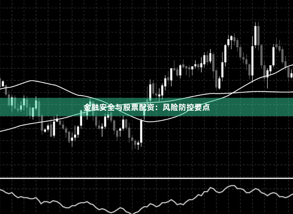 金融安全与股票配资：风险防控要点