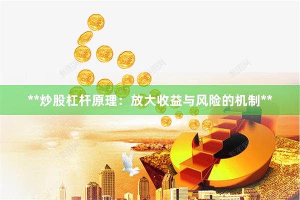 **炒股杠杆原理：放大收益与风险的机制**
